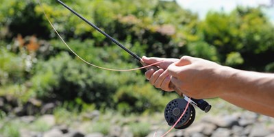 Fishing Near Livingston Montana: Species and Best Local Fish