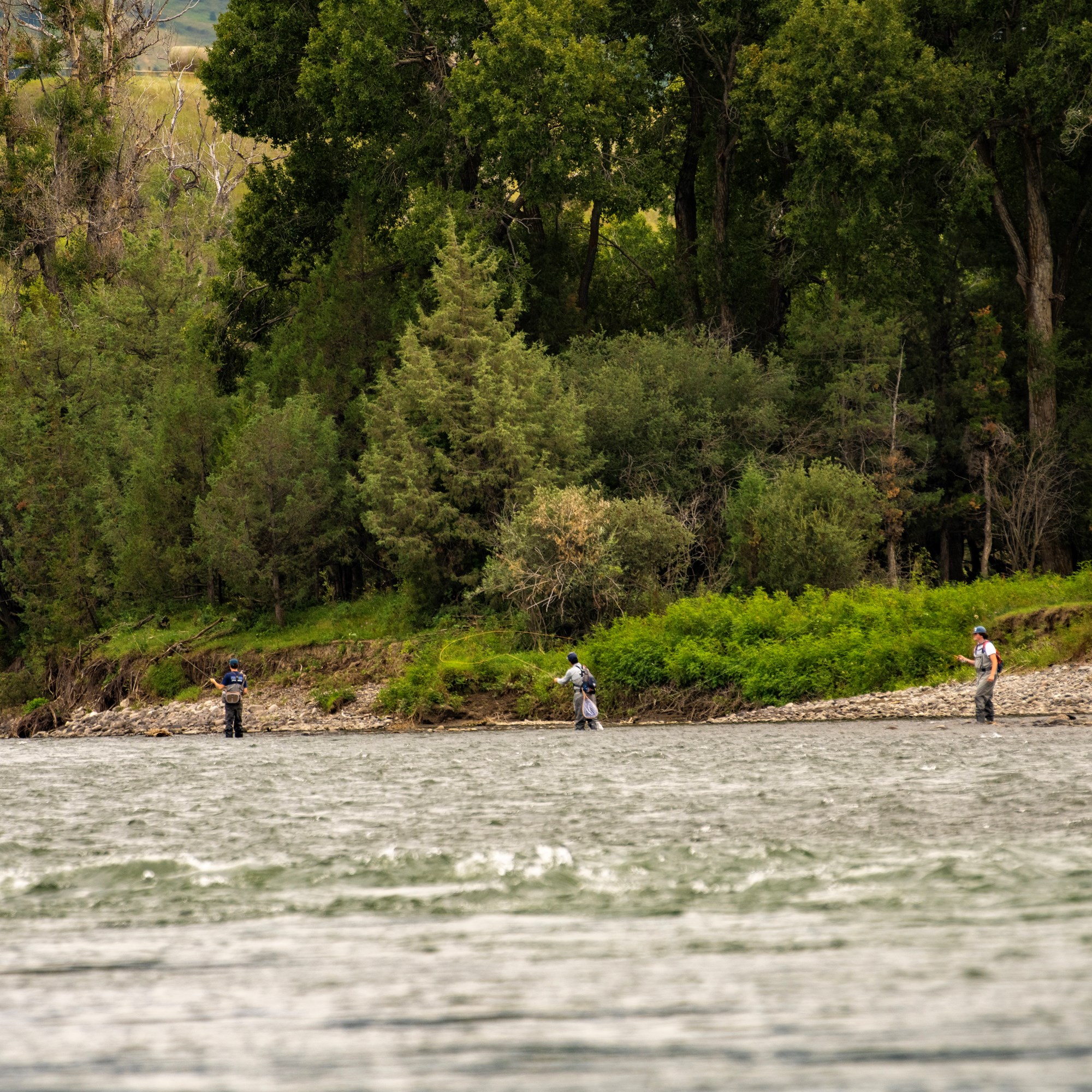 Livingston / Paradise Valley KOA Holiday Events