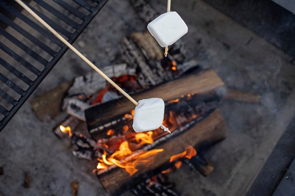 Plan a trip to West Yellowstone, Montana