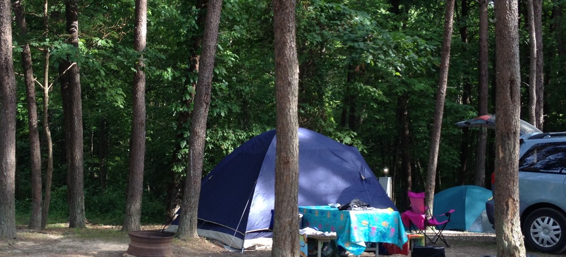 Wooded tent site with electric