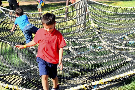 Spider Web crawler