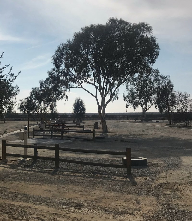 Lost Hills, California RV Camping Sites Lost Hills KOA