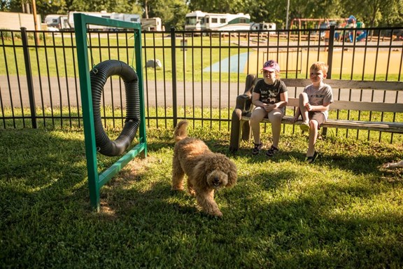 Kamp K9 Dog Park