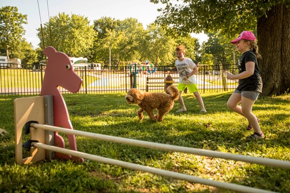 Kamp K9 Dog Park