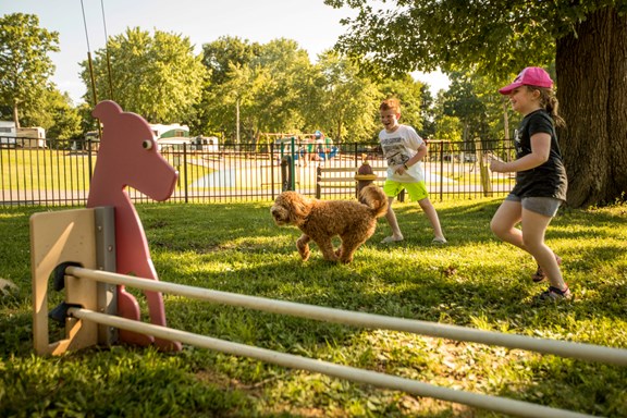 Kamp K9 Dog Park