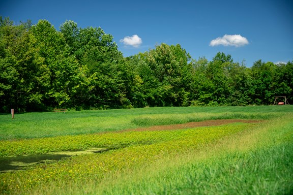 Nature Trails