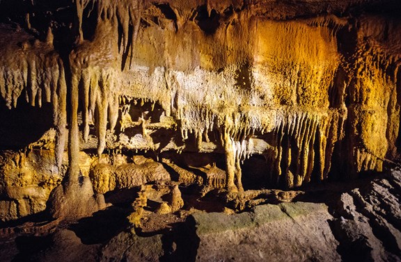 Mammoth Cave National Park