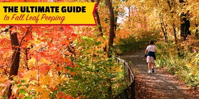 The Ultimate Guide to Leaf Peeping in Louisville, KY