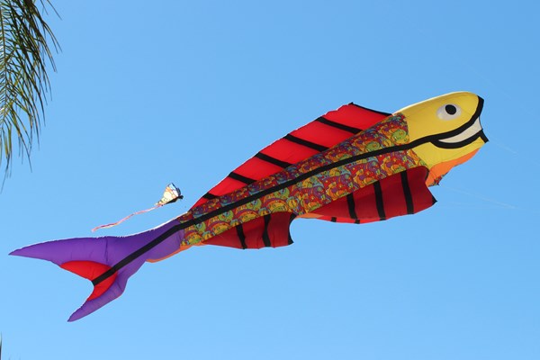 Kites Weekend Photo
