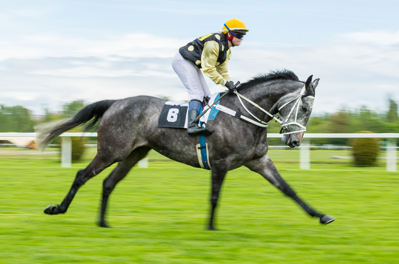 Kentucky Derby Weekend Photo