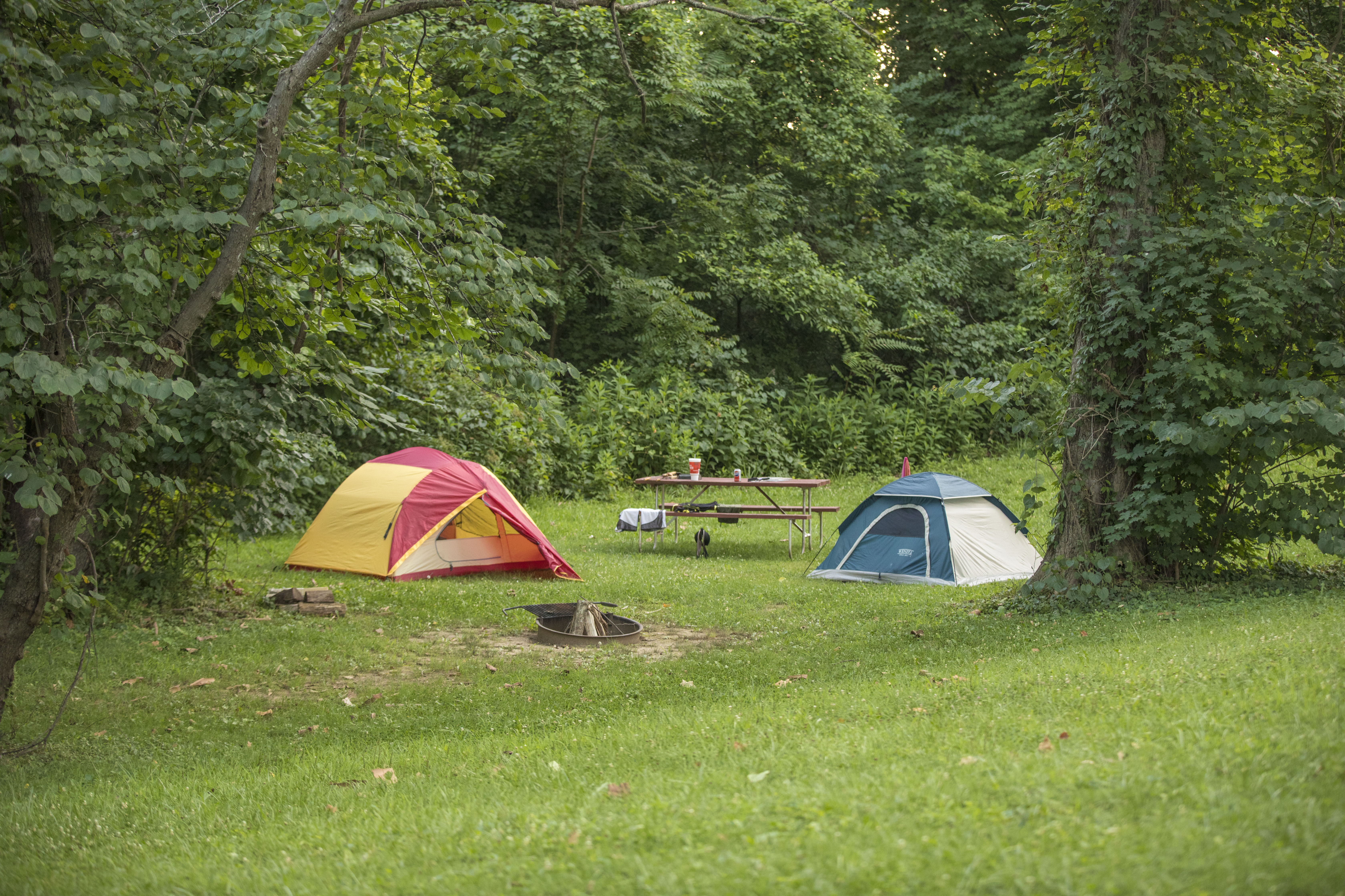 Tent Camping in Louisville | Louisville South KOA Holiday