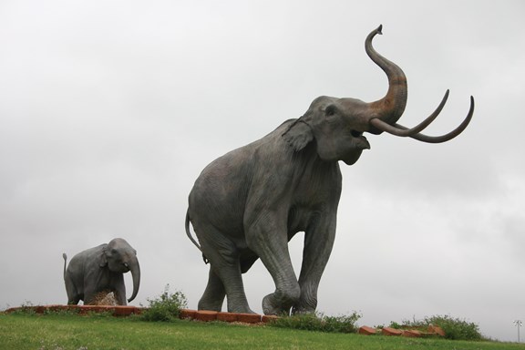 Lubbock Lake Landmark