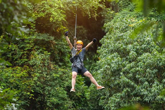 Zipline & Treetop Adventure