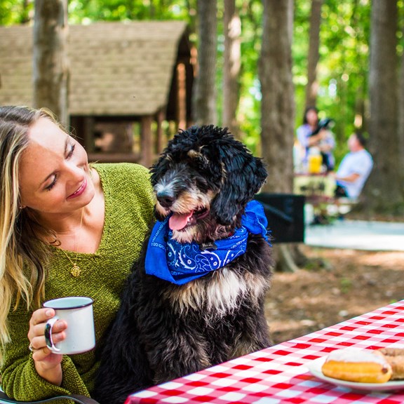 Plan a trip to Cherryvale, South Carolina