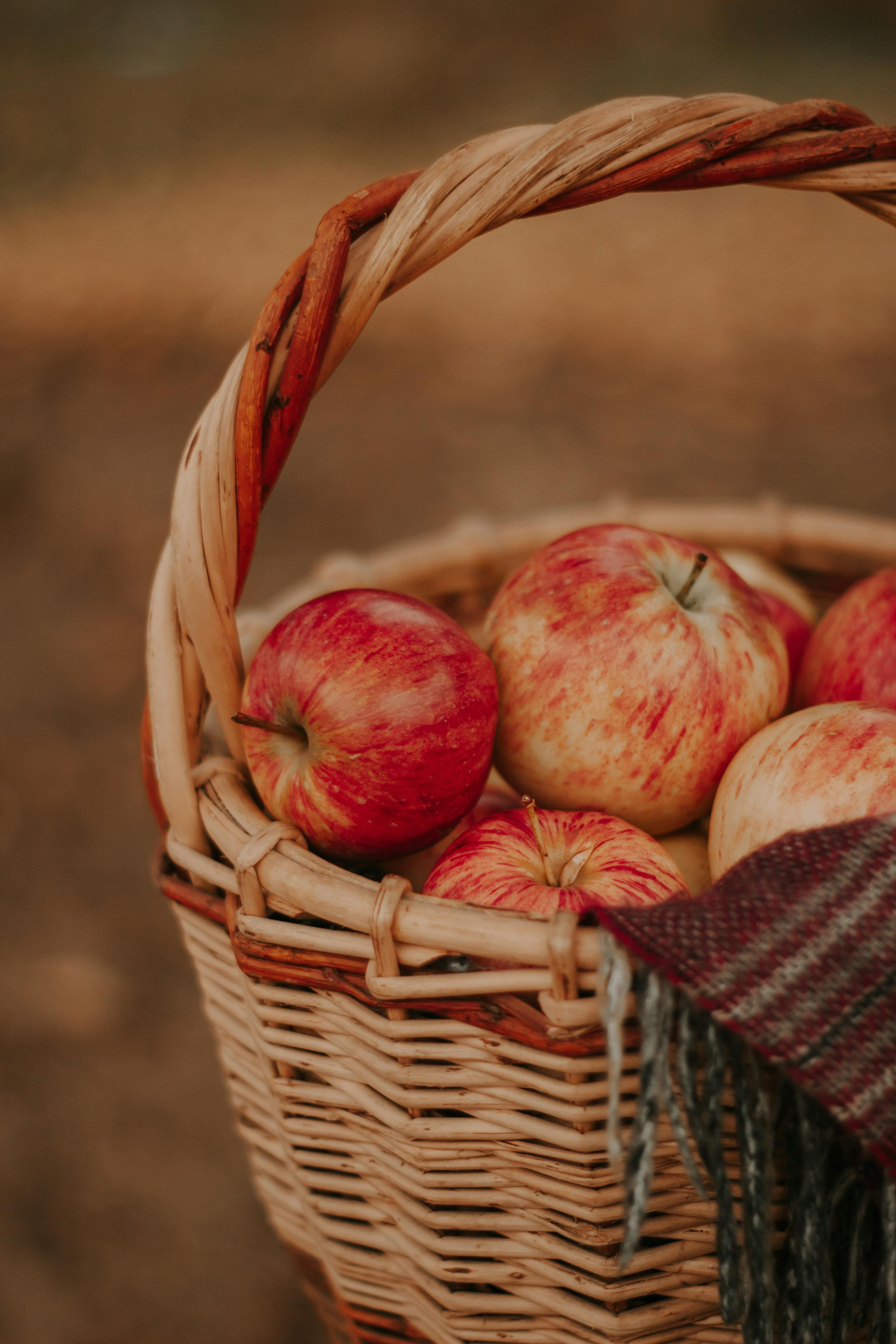 Drumheller Orchard's Apple Festival Photo