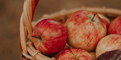 Drumheller Orchard's Apple Festival