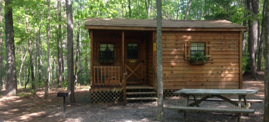 Medium Cabin