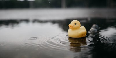 Rubber duck derby