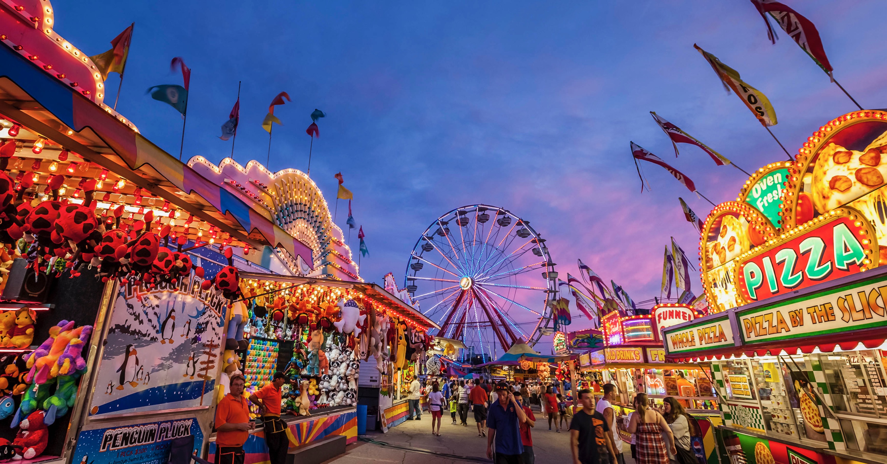 Northwest Washington Fair Photo