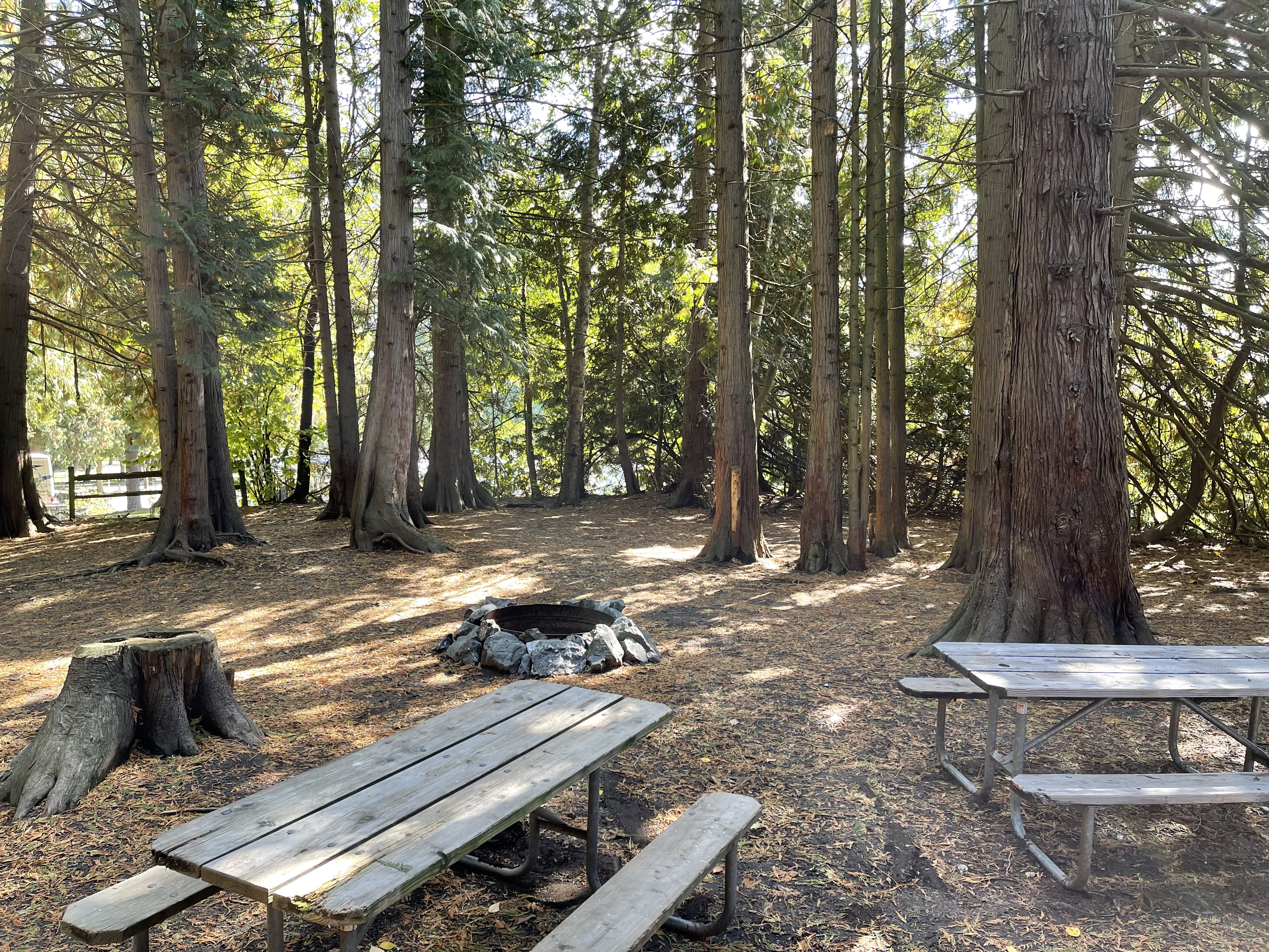 Lynden, Washington Tent Camping Sites Lynden / Bellingham KOA Journey
