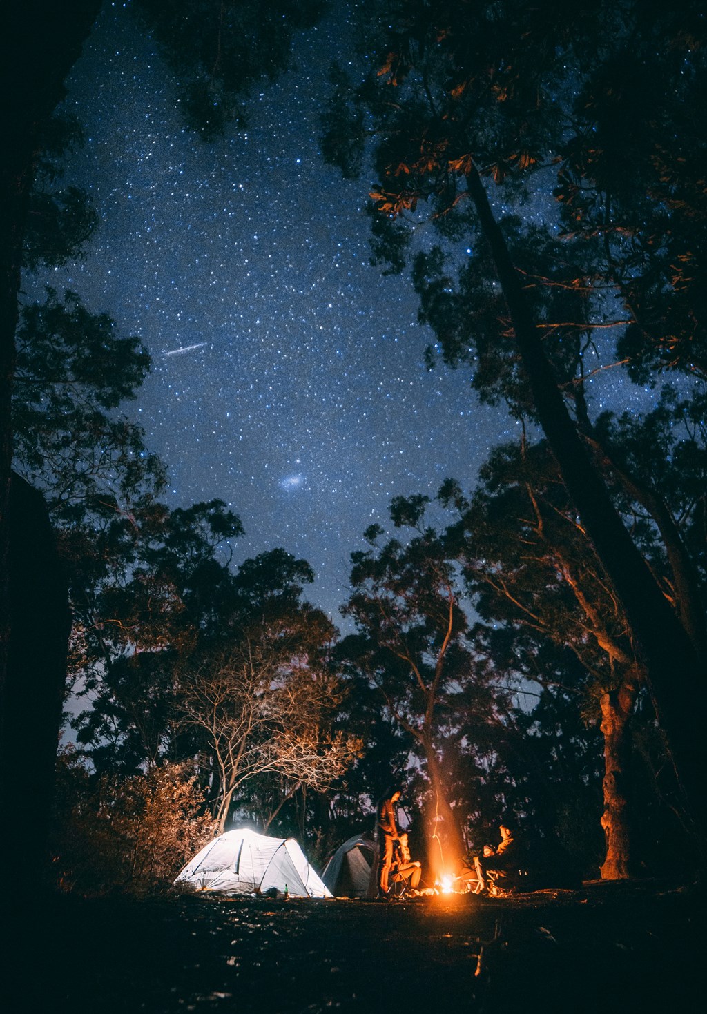 A glowing tent is set up in a dimly lit forest clearing. The enchanting  night sky above, filled with stars, creates a serene camping experience in  nat Stock Photo - Alamy, image size:1024x1469