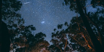 Night time Camping Activities