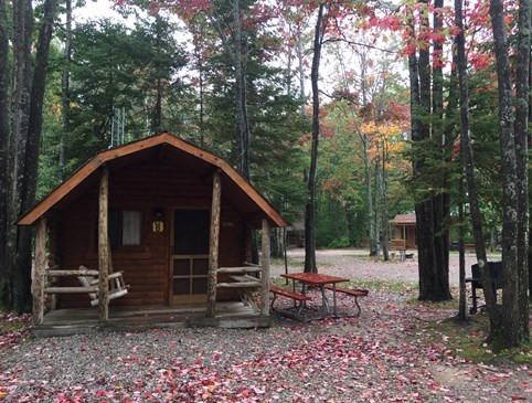 Fall Cabin Special Photo
