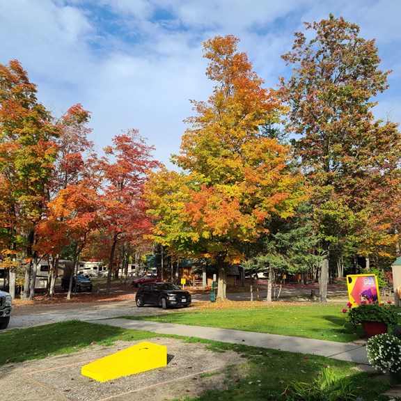 Plan a trip to Cheboygan, Michigan
