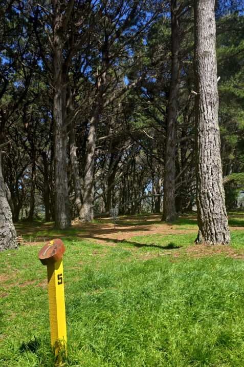 Disc Golf