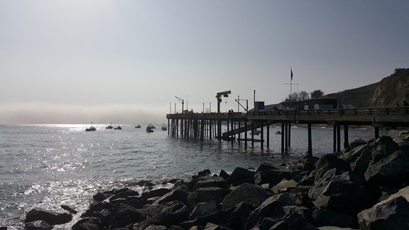 Whale watching lookouts