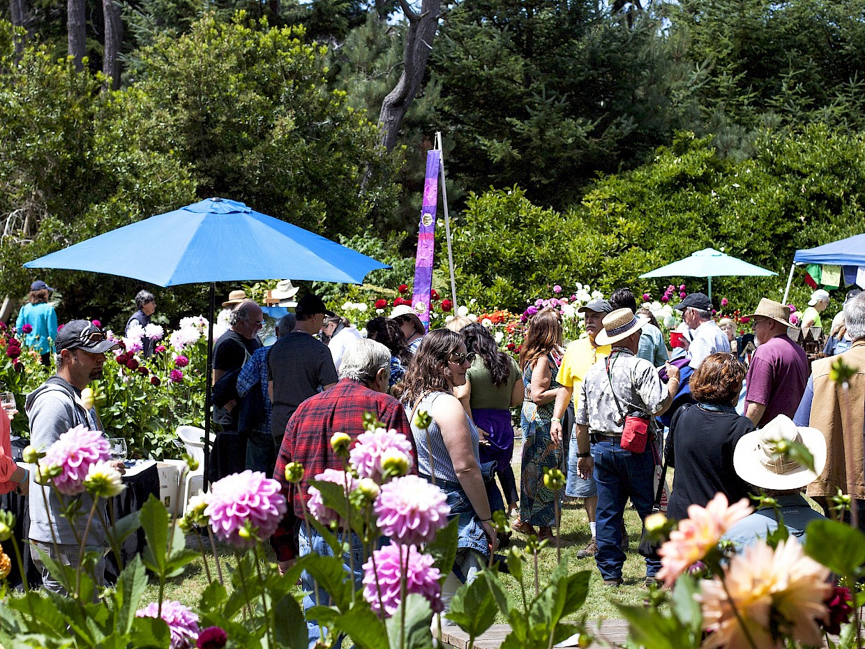 ART in the GARDENS !  Ft. Bragg Botanical Gardens/Aug 1st,2 Photo