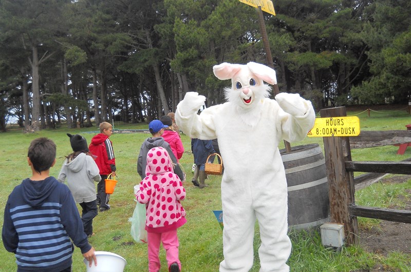 Easter Weekend 2020 April 12! Easter Bunny is here! Photo