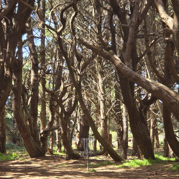 Disc Golf