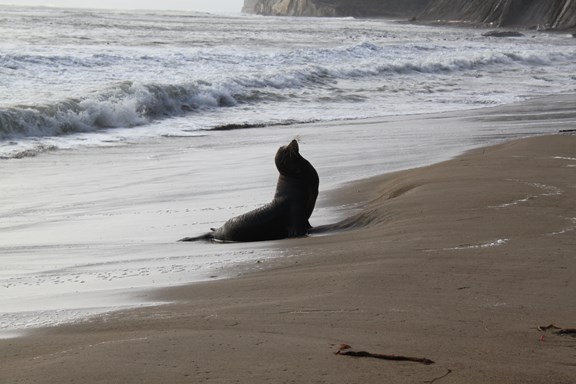 Plan a trip to El Verano, California
