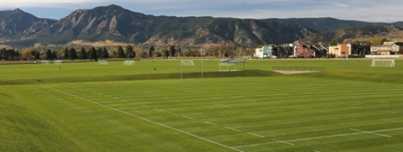 Mt. Pleasant Soccer Field