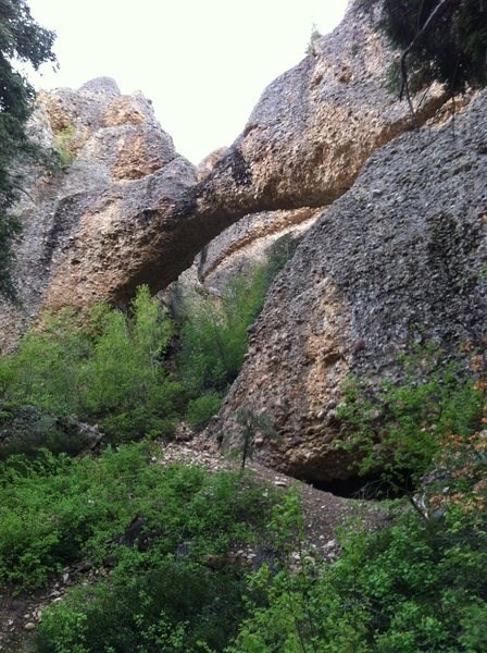 Maple Canyon