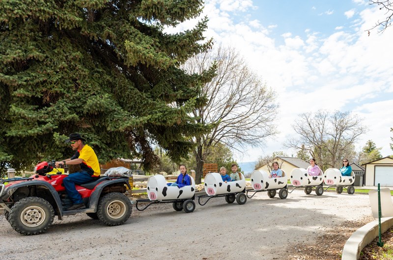 Weekend Barrel Train Rides Photo