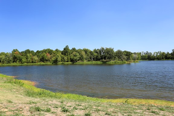 Arrowhead Lake