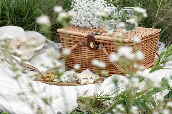 Picnic at a Nearby Park