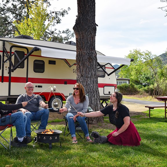 Plan a trip to McCloud, California