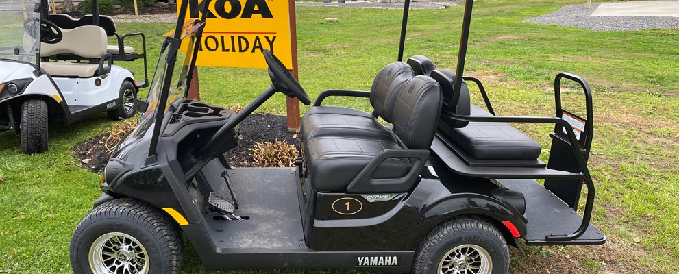 Premium rental golf cart.