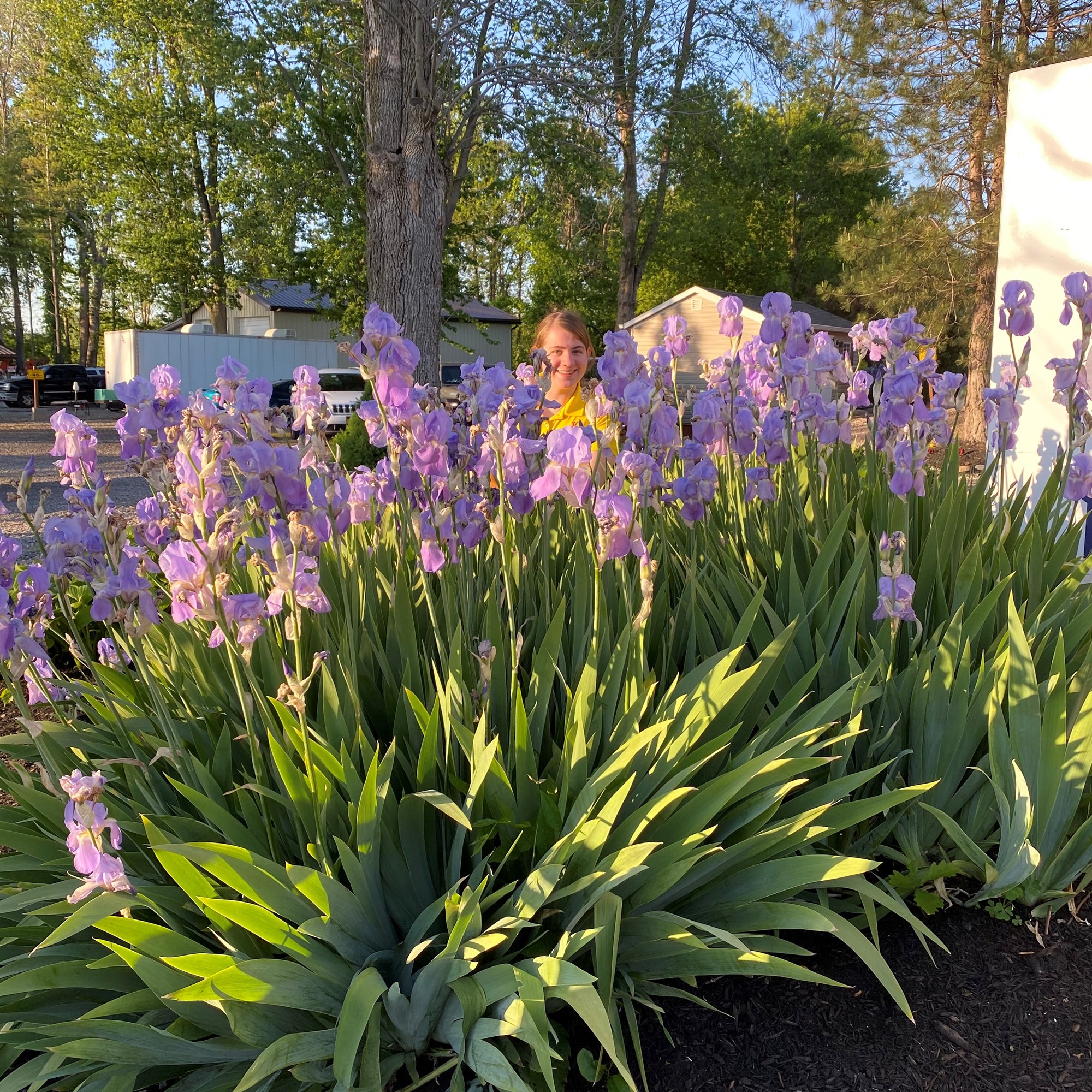 Medina, New York Camping Photo Albums Medina / Wildwood Lake KOA Holiday