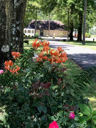 Memphis KOA Journey