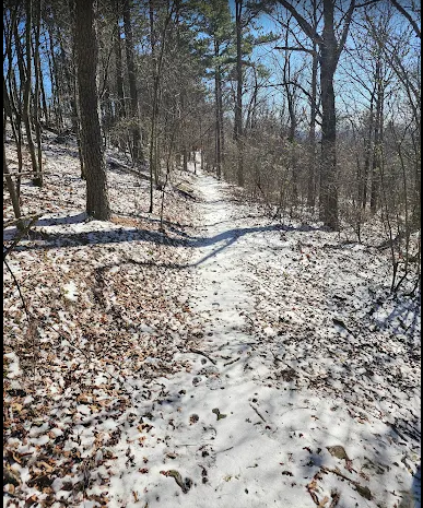 Earthquake Ridge Hiking Trail: 4.5 mi Moderate