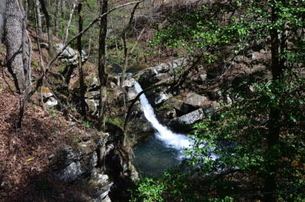 Buckeye Mountain to Caney Creek Hiking Trail: 9.1 mi: Hard