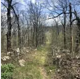 Wolf Pinnacle via Ouachita Trail Hiking: 9.3 mi: Moderate