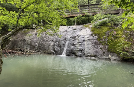Cossatot River Falls Hiking Trail: 0.9 mi: Easy