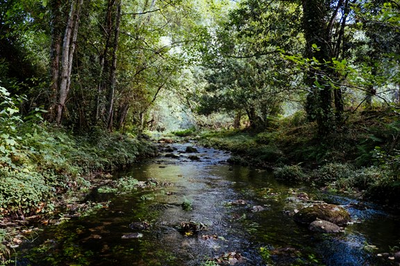 Brushy Creek Recreation Area