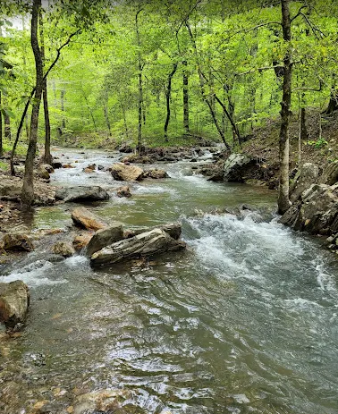 Ouachita National Forest