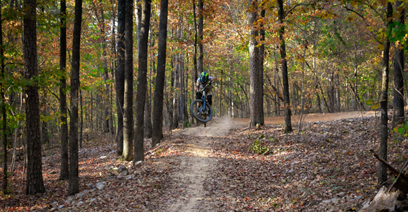 Ward Lake Downhill Mountain Biking Trails: Mena: Intermittently closing for new construction